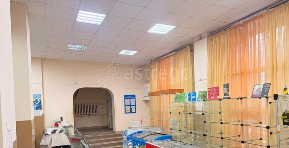 Торговое помещение, 180 м2 Чехов - изображение 6