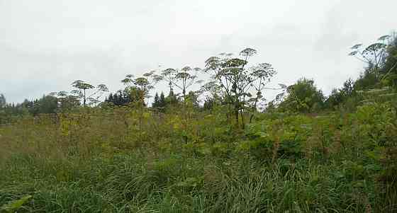 Земельный участок, 14.79 сотки Шаховская