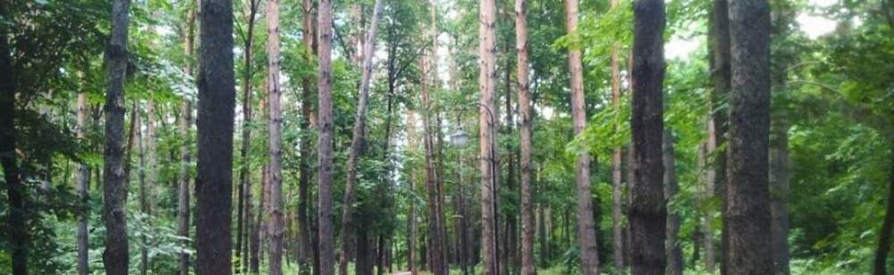 Земельный участок, 30 соток Уфа - изображение 3