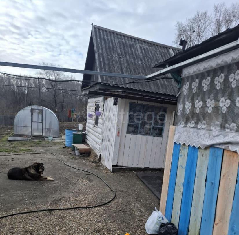 Дом, 29 м2, 15 соток, 1 эт. Свободный - изображение 5