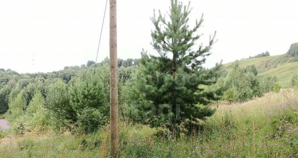 Земельный участок, 5.5 сотки Горно-Алтайск - изображение 1
