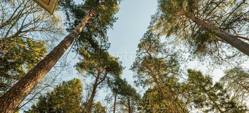 Коттедж, 440 м2, 5 соток, 3 эт. Балашиха - изображение 7