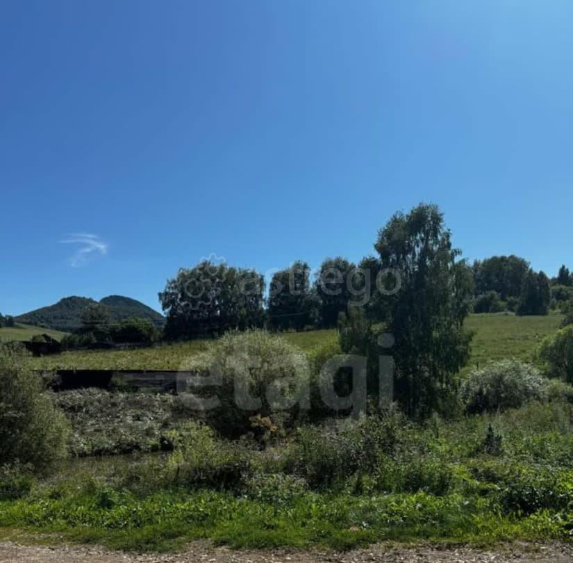 Земельный участок, 12.9 га Алтайское - изображение 5