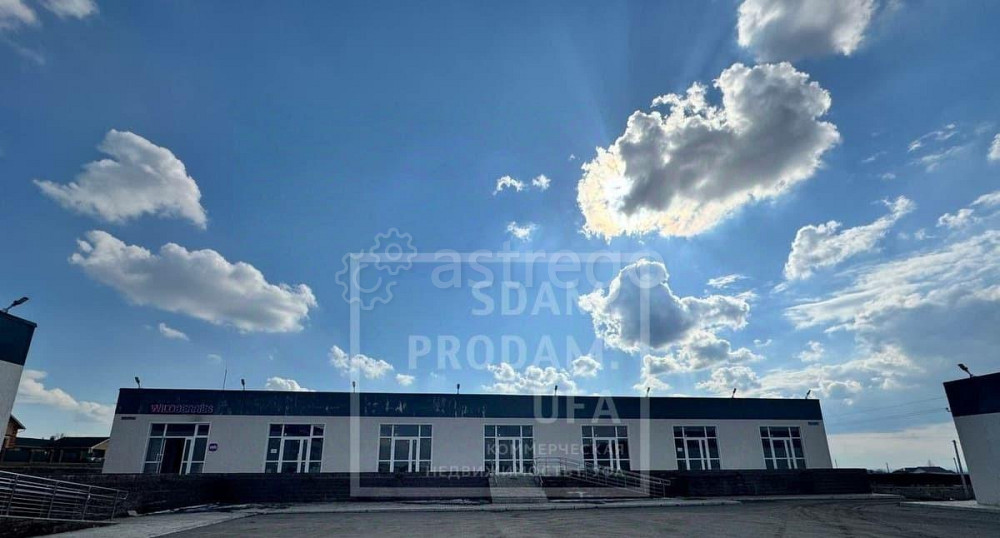 Торговое помещение, 426.4 м2 Иглино - изображение 5