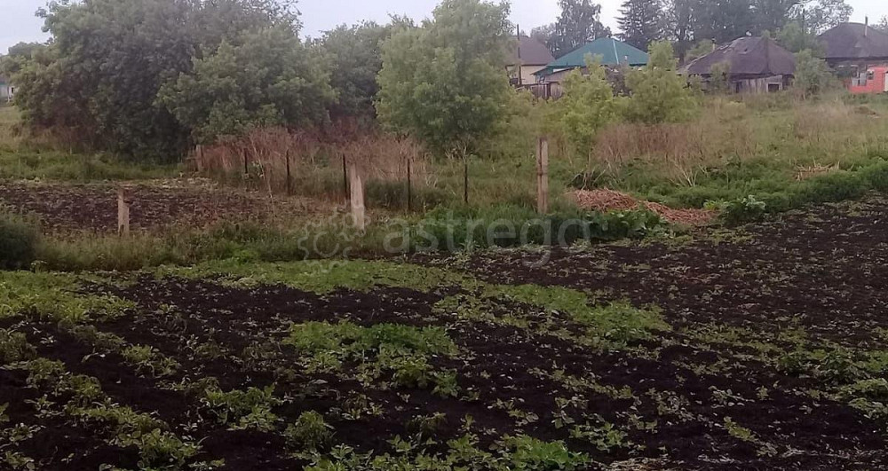 Земельный участок, 21.7 сотки Тальменка - изображение 5