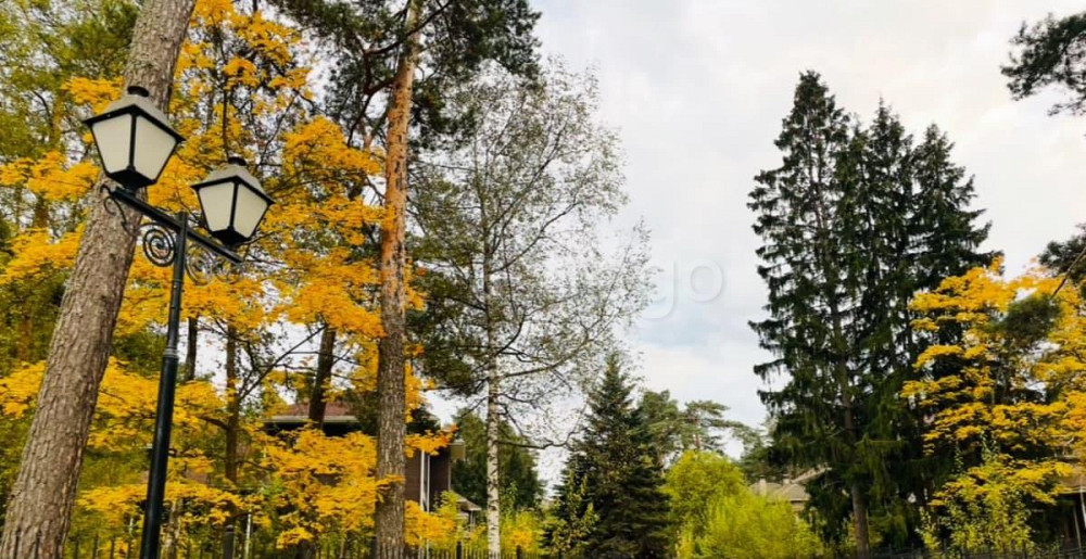 Коттедж, 380 м2, 25 соток, 2 эт. Звенигород - изображение 6