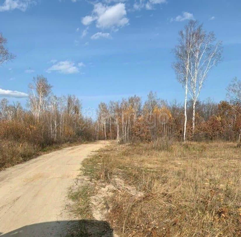 Земельный участок, 1 га Благовещенск - изображение 4