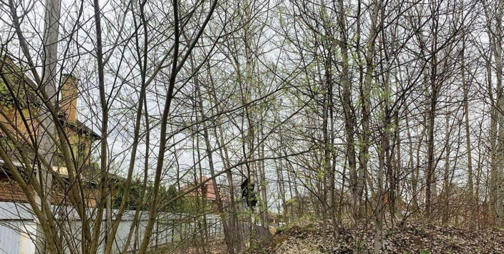 Земельный участок, 10 соток Наро-Фоминск - изображение 4