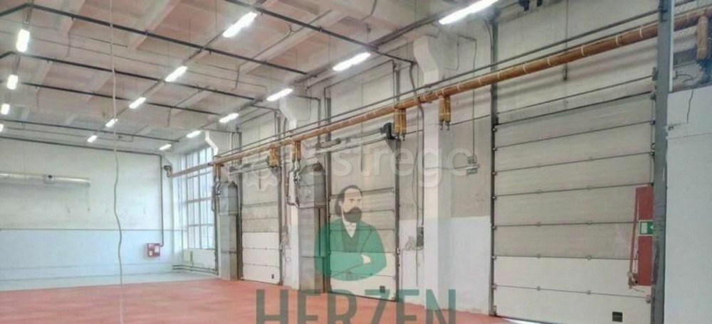 Производственное, 4415.3 м2 Щёлково - изображение 3