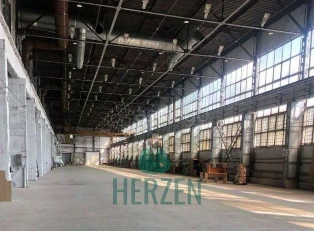 Производственное, 4000 м2 Реутов - изображение 3