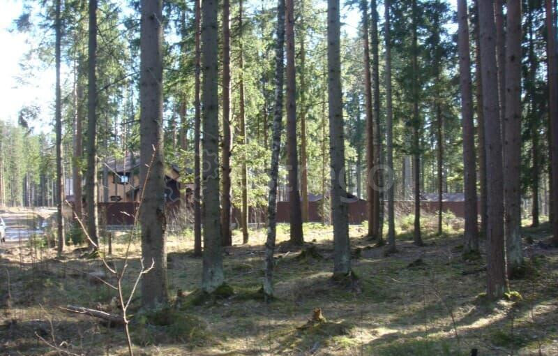 Земельный участок, 8 соток Павловский Посад - изображение 9