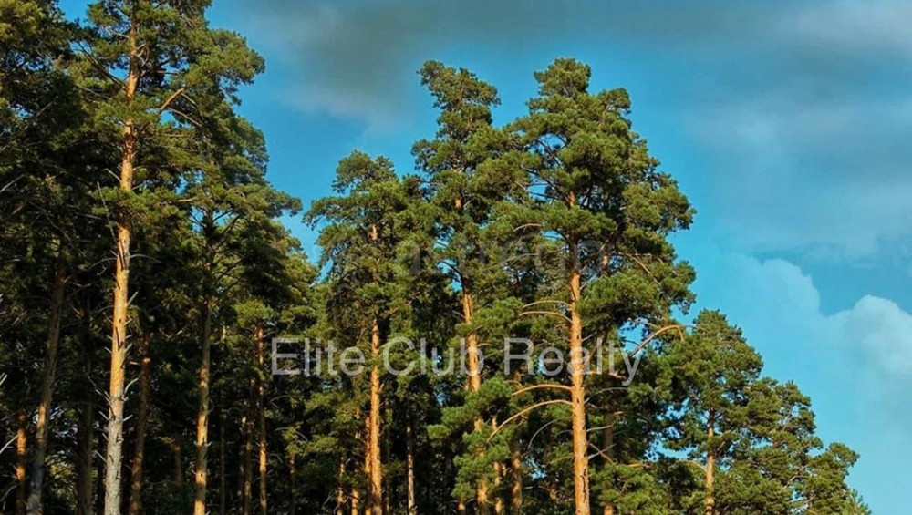 Земельный участок, 29.5 сотки Санкт-Петербург - изображение 1