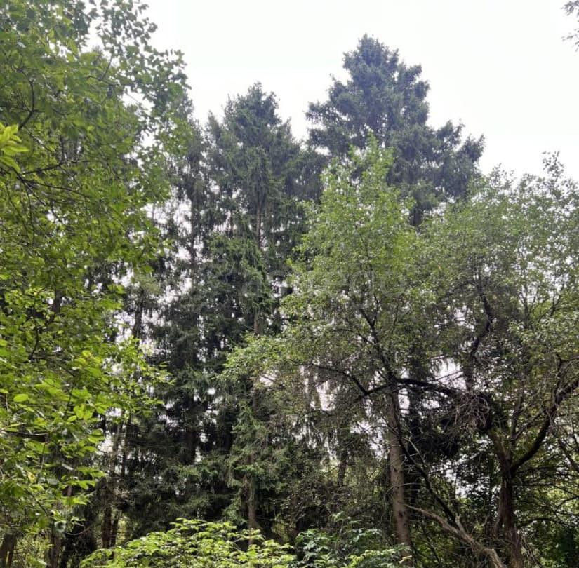 Дом, 300 м2, 20 соток, 3 эт. Москва - изображение 7