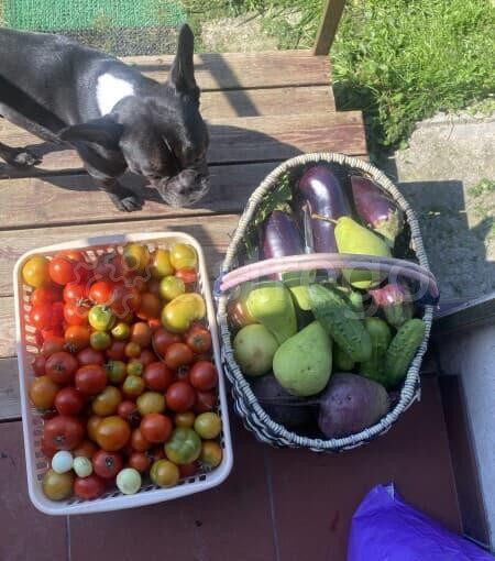 Дом, 144 м2 Бронницы - изображение 7