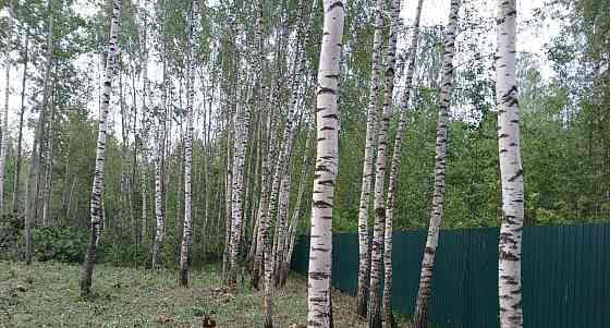 Земельный участок, 9 соток Павловский Посад