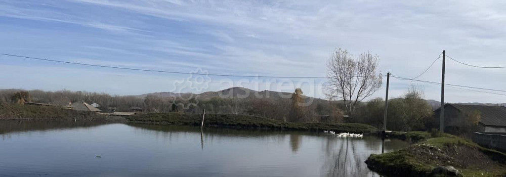 Коммерческий участок, 28 соток Алтайское - изображение 6