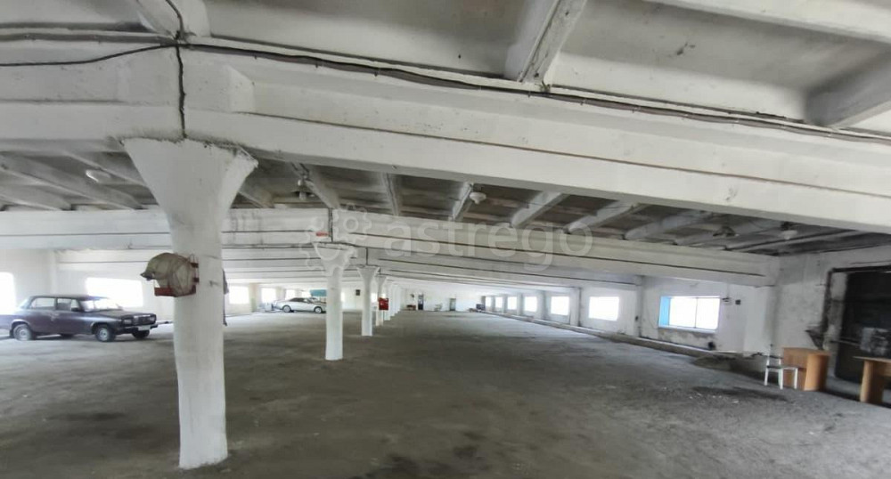 Свободного назначения, 1336.6 м2 Благовещенск - изображение 3