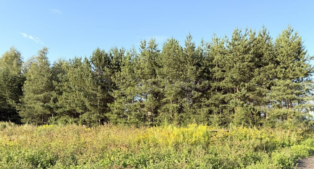 Земельный участок, 7 соток Пушкино - изображение 7