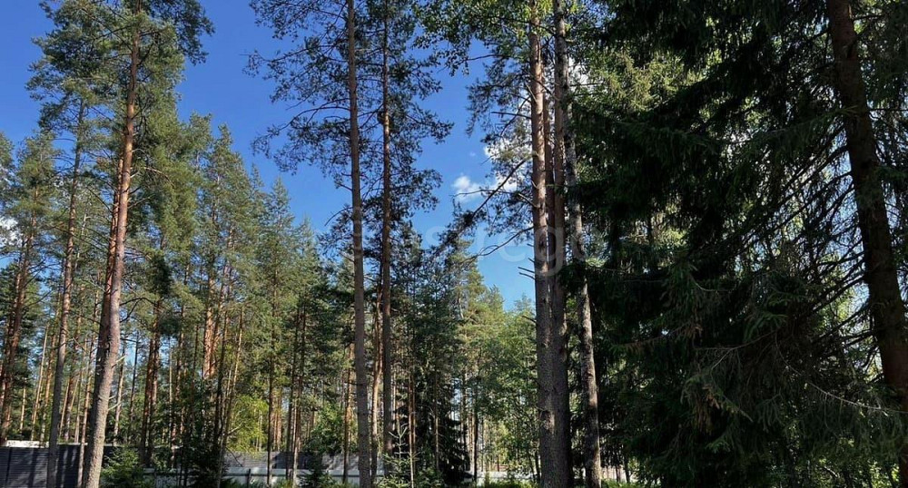 Земельный участок, 13 соток Санкт-Петербург - изображение 2