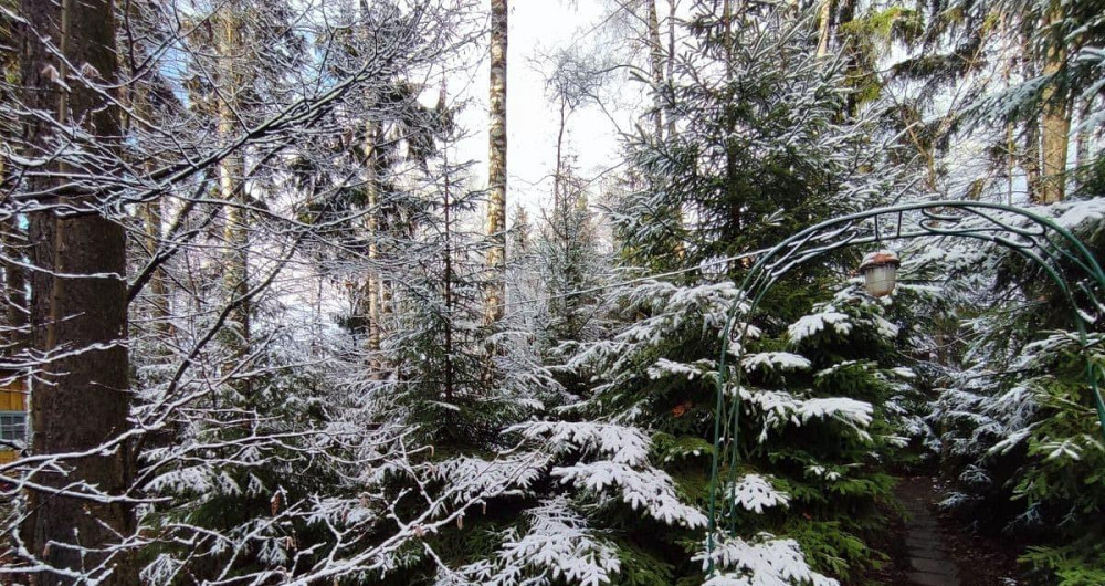 Земельный участок, 17 соток Апрелевка - изображение 5