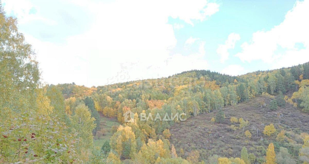 Коммерческий участок, 3.18 га Белокуриха - изображение 2