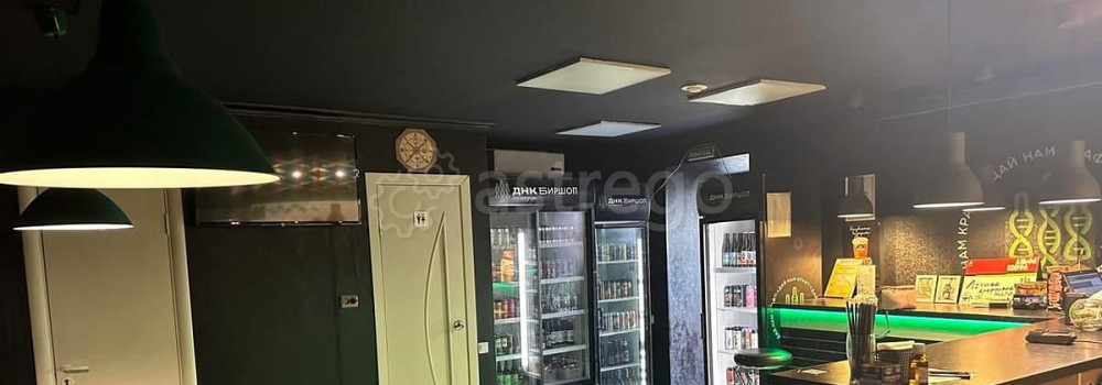 Торговое помещение, 54 м2 Барнаул - изображение 6