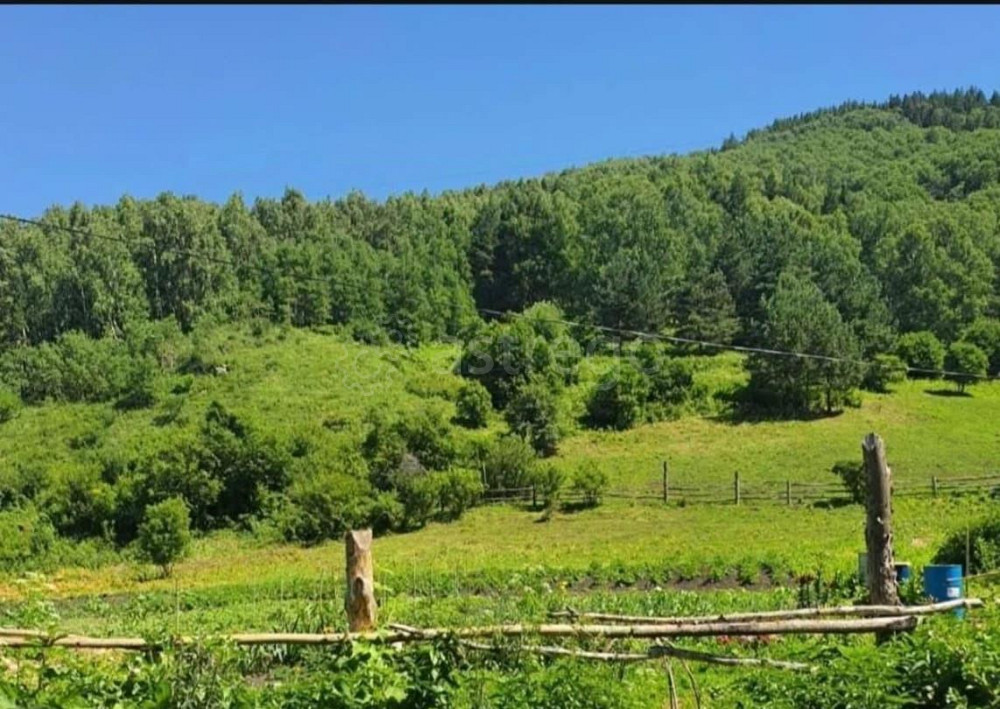 Земельный участок, 0.53 га Алтайское - изображение 7