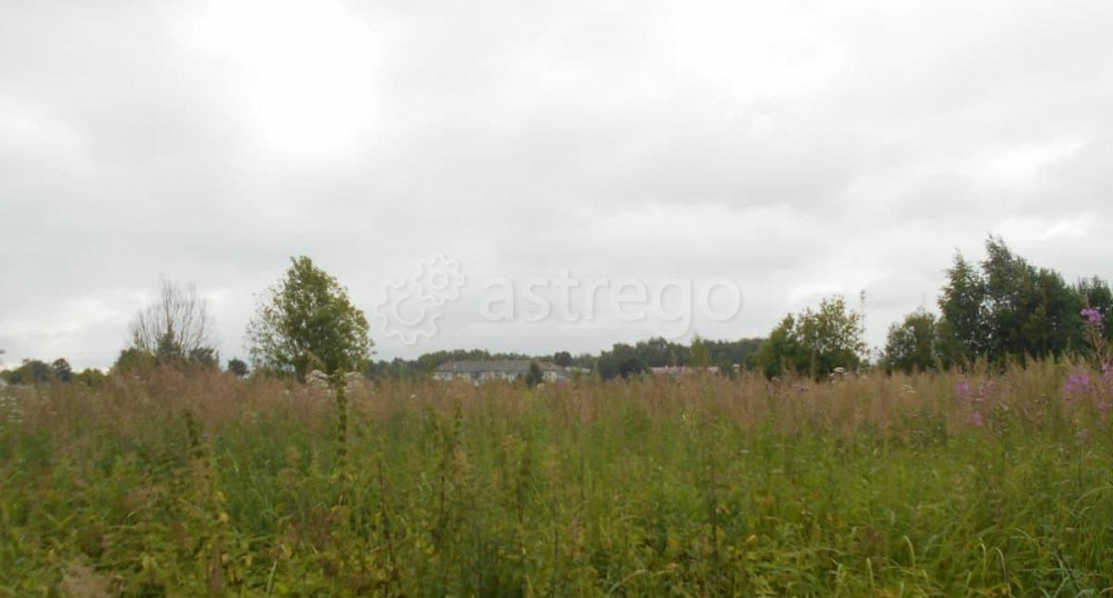 Коммерческий участок, 10.75 сотки Шаховская - изображение 1