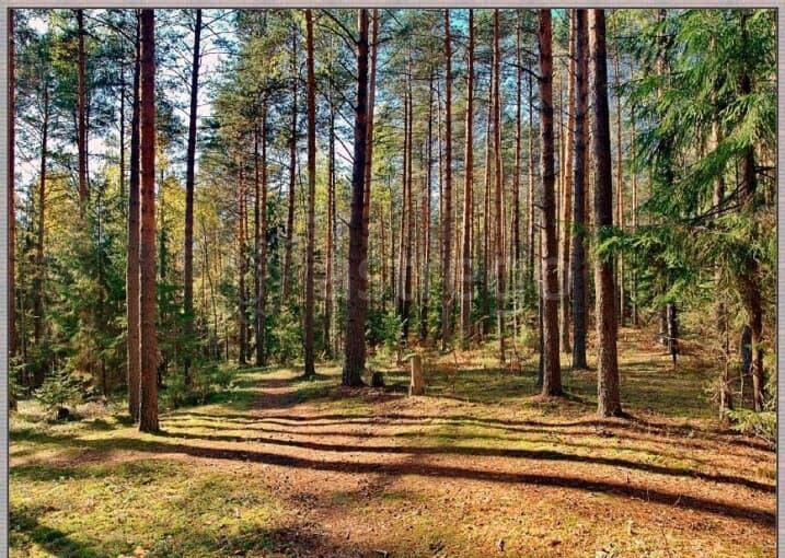 Земля с/х назначения, 353 га Москва - изображение 1