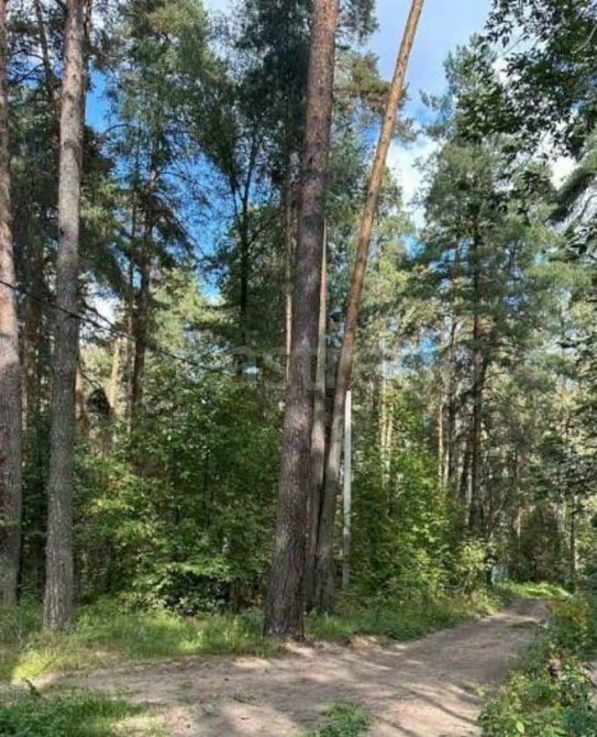 Земельный участок, 9.3 сотки Раменское - изображение 3