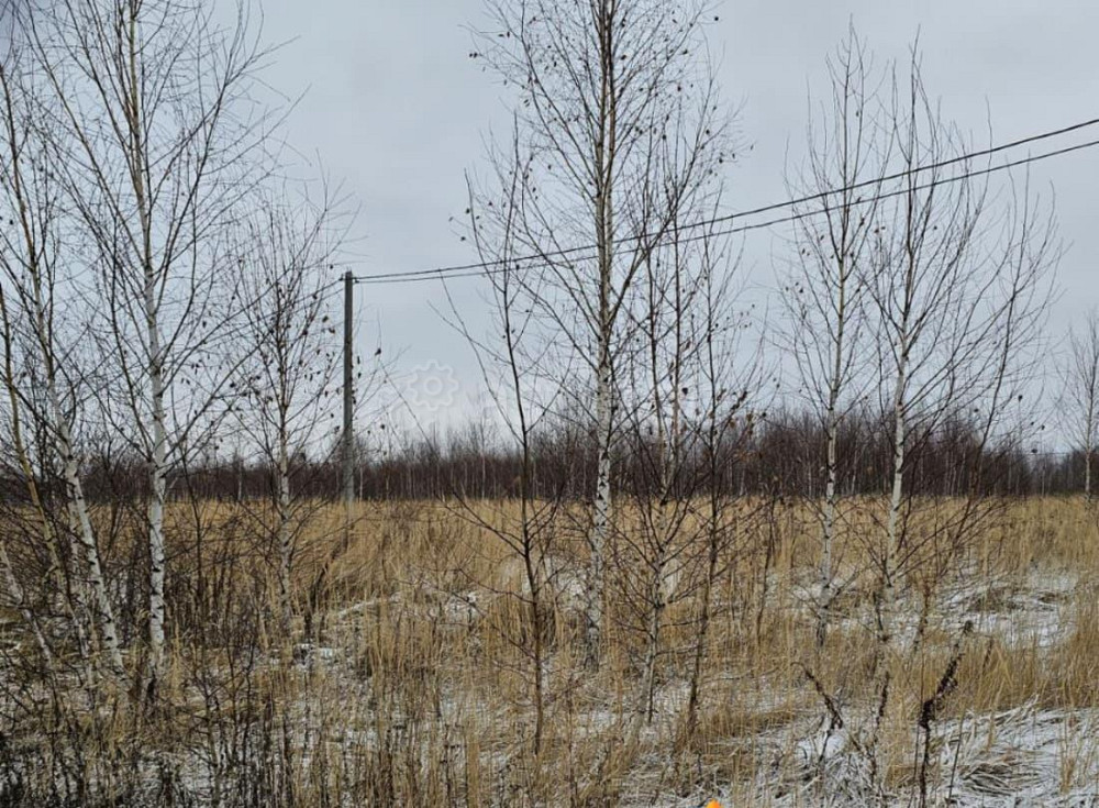 Земельный участок, 14.97 сотки Луховицы - изображение 1