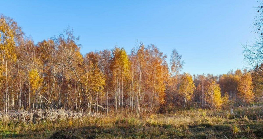 Земельный участок, 9.2 сотки Емельяново - изображение 7