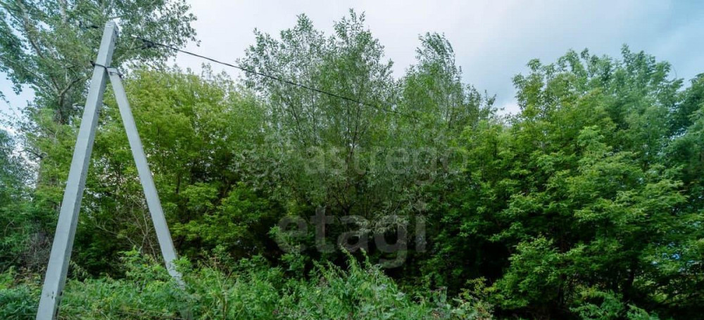 Земельный участок, 18.5 сотки Алтайское - изображение 4