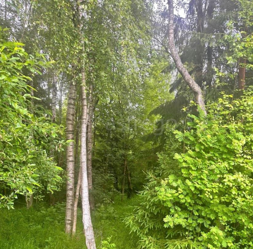 Земельный участок, 12 соток Санкт-Петербург - изображение 6