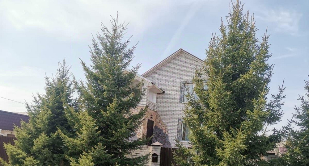 Коттедж, 320 м2, 11 соток, 3 эт. Барнаул - изображение 1