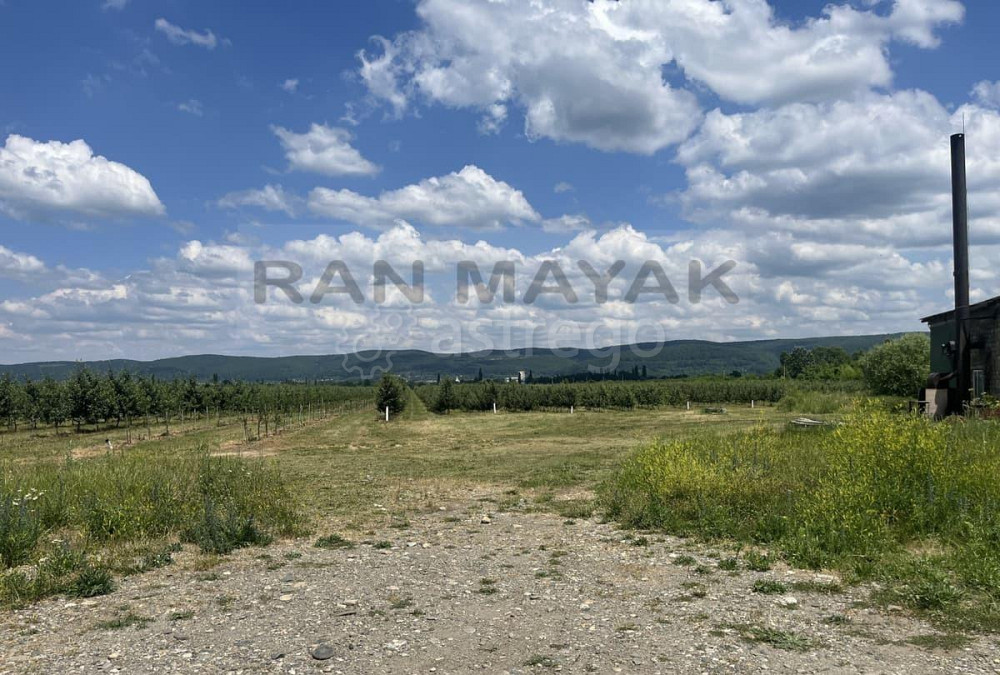 Торговое помещение, 180000 м Тульский - изображение 9