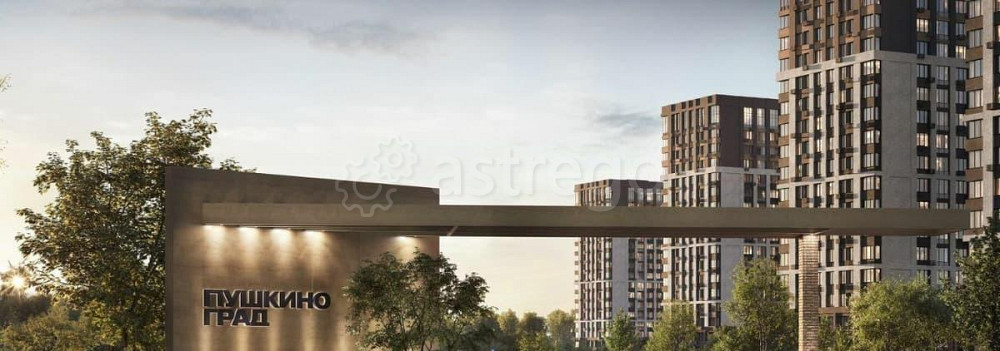 Студия, 29.8 м2, 4/17 эт. Пушкино - изображение 6