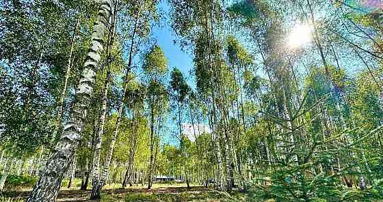 Земельный участок, 9 соток Домодедово