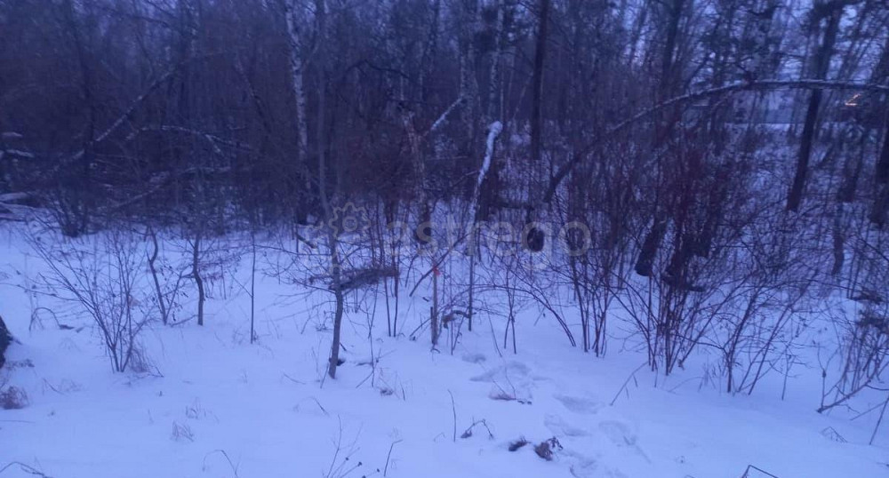 Земельный участок, 9.67 га Березовка - изображение 5