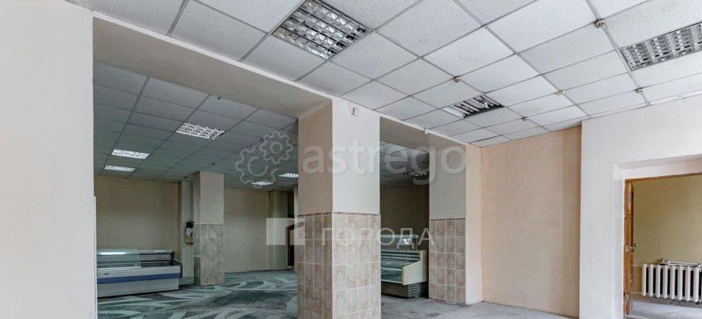 Торговое помещение, 288 м2 Барнаул - изображение 5