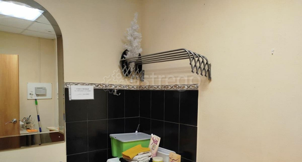 Свободного назначения, 29 м2 Барнаул - изображение 3