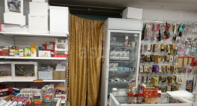 Торговое помещение, 45.5 м2 Шимановск - изображение 3