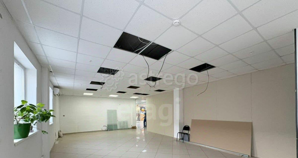 Торговое помещение, 69 м2 Архангельск - изображение 6