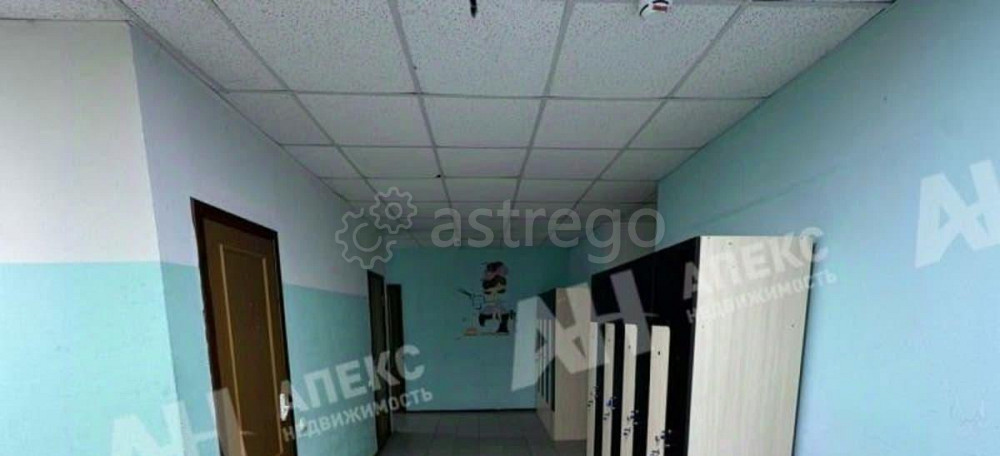 Свободного назначения, 270 м2 Домодедово - изображение 6