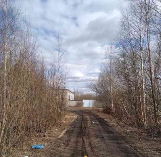 Коммерческий участок, 31 сотка Северодвинск