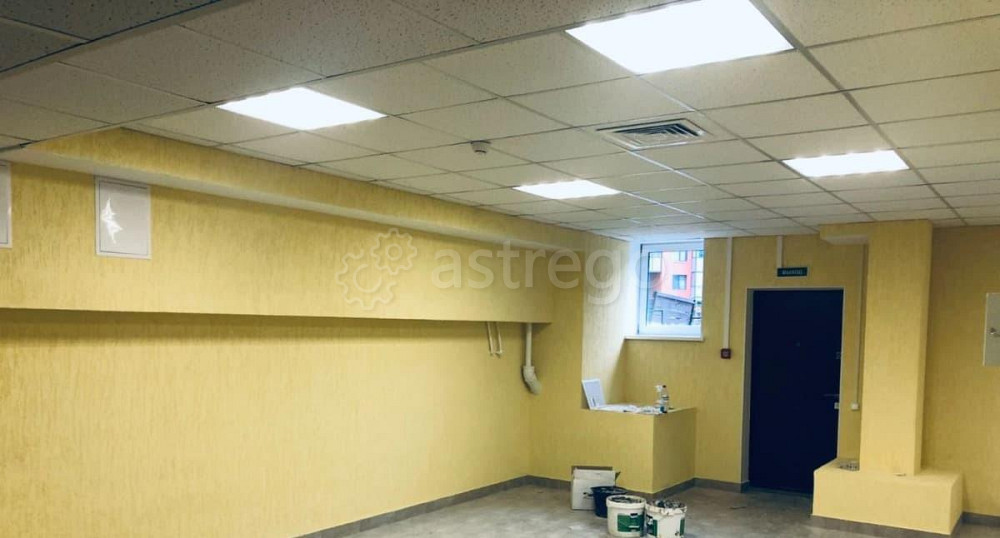 Свободного назначения, 169.3 м2 Санкт-Петербург - изображение 3
