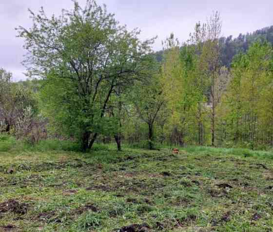 Земля с/х назначения, 45 соток Красноярск