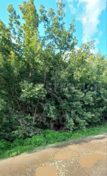 Земельный участок, 15 соток Красноярск - изображение 2