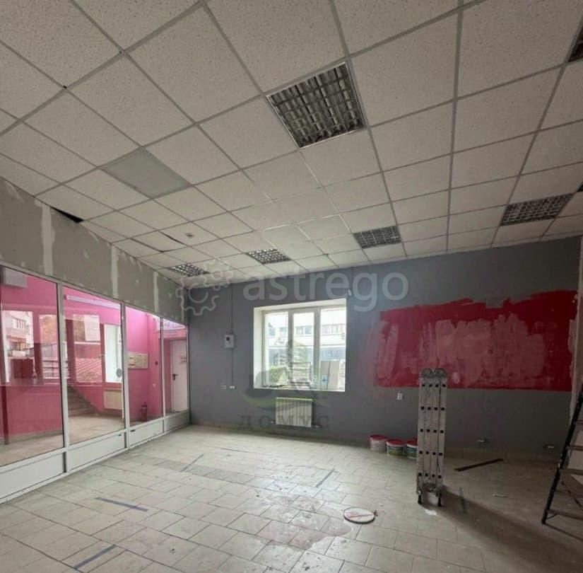 Торговое помещение, 37 м2 Раменское - изображение 3