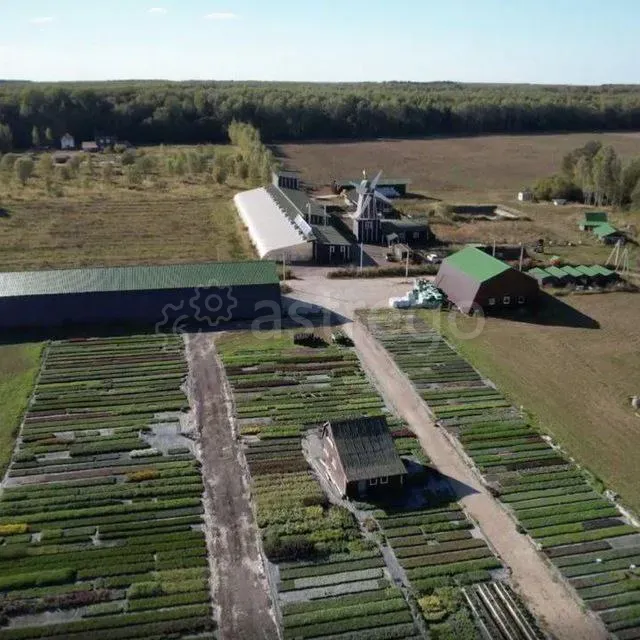 Продаётся Действующая Прибыльная Экоферма и Питомник Растений Тула - изображение 4